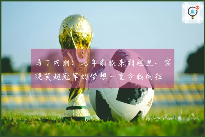 马丁内利：七年前我来到这里，实现英超冠军的梦想一直令我向往